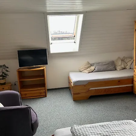 Ferien- Und Reiterhof Bareth Apartamento